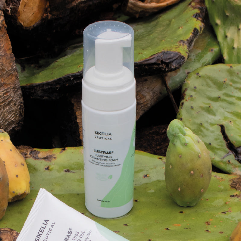 Lustras Purifying Cleansing Foam