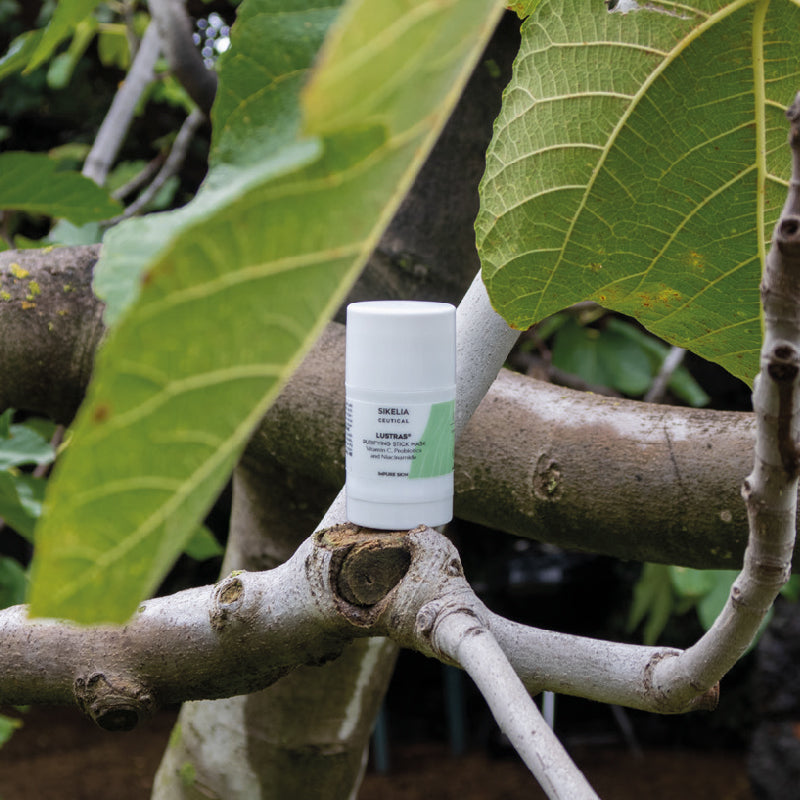 Lustras Purifying Stick Mask