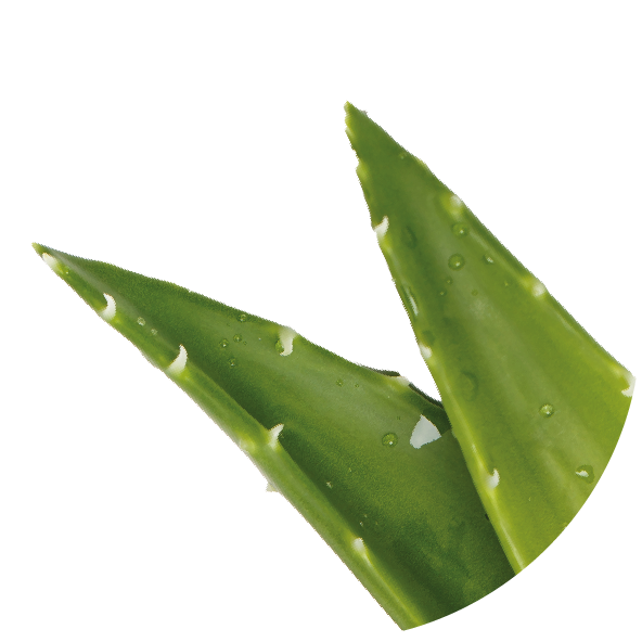 Aloe Vera Iperfermentata