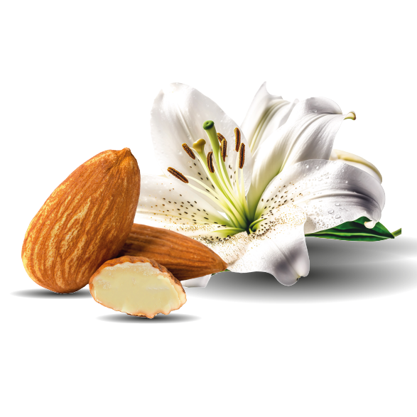 Olio di Mandorle Dolci